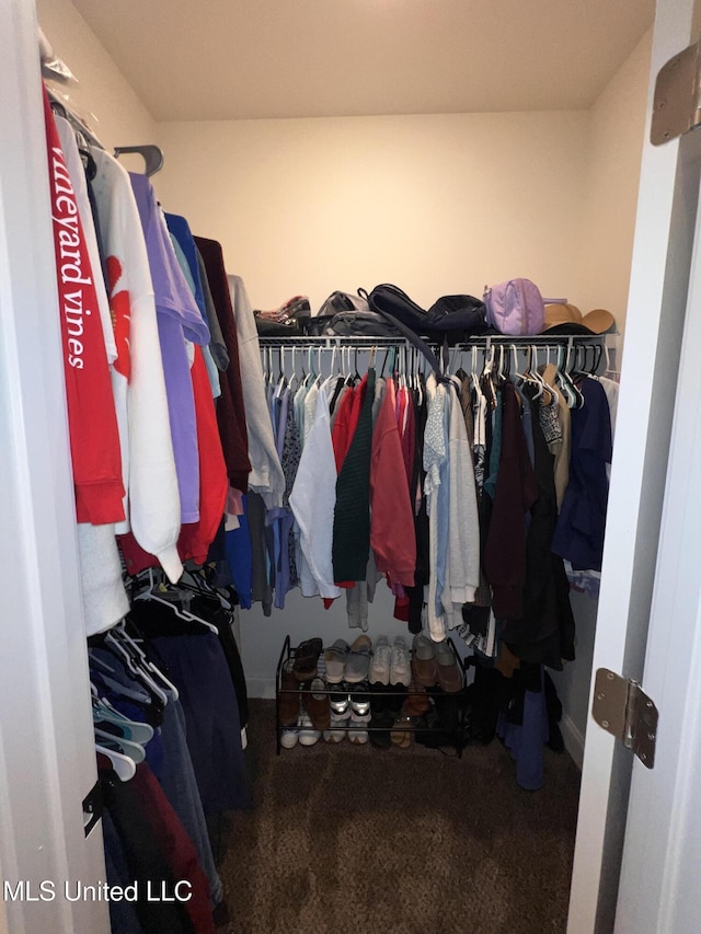 walk in closet featuring carpet