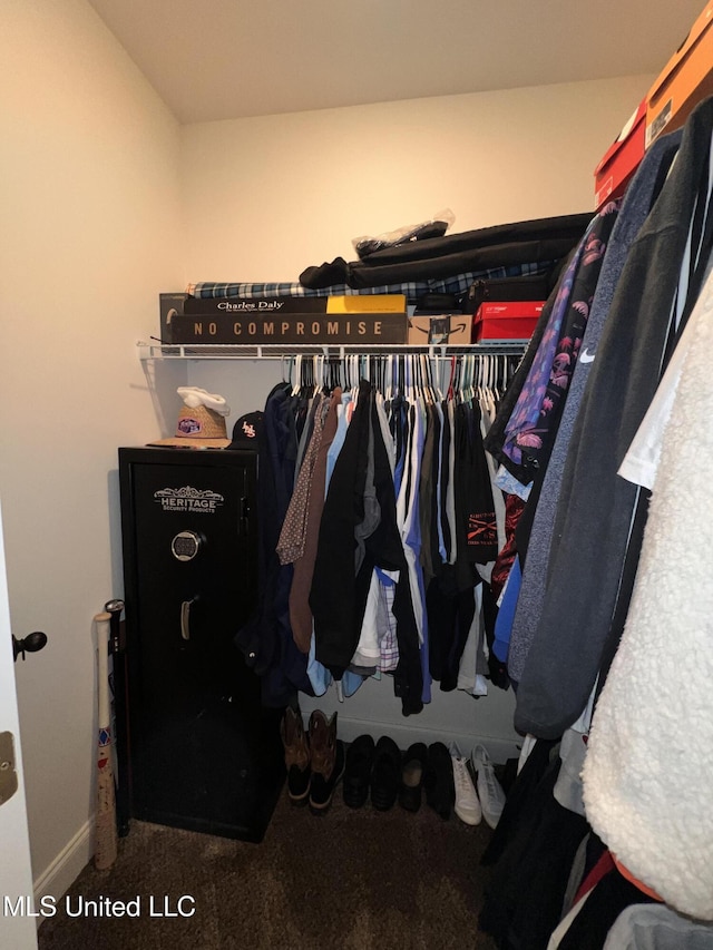 spacious closet with carpet