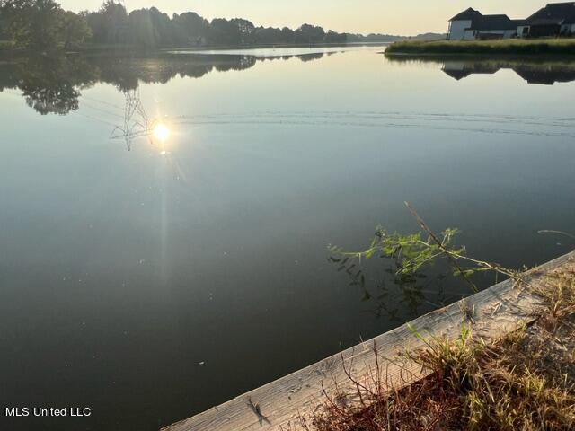102 Harbour Lndg, Madison, MS 39110