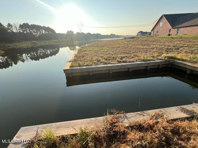 102 Harbour Lndg, Madison, MS 39110