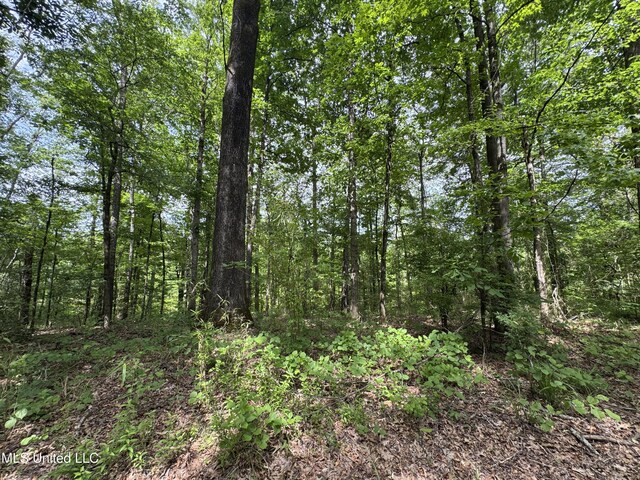 2550 Moncure Rd, Terry, MS 39170