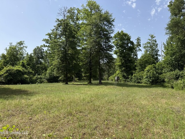 2550 Moncure Rd, Terry, MS 39170