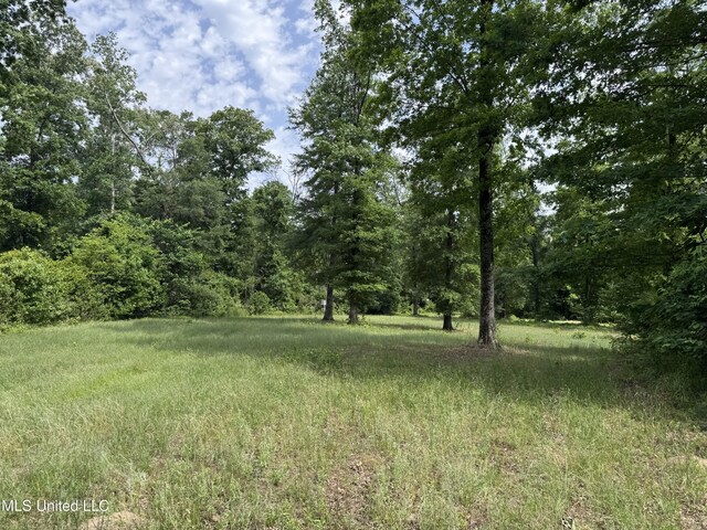 2550 Moncure Rd, Terry, MS 39170