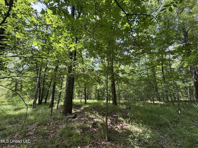 2550 Moncure Rd, Terry, MS 39170