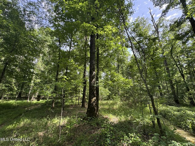 2550 Moncure Rd, Terry, MS 39170