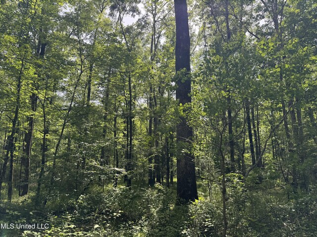 2550 Moncure Rd, Terry, MS 39170