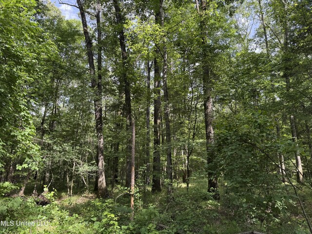 2550 Moncure Rd, Terry, MS 39170