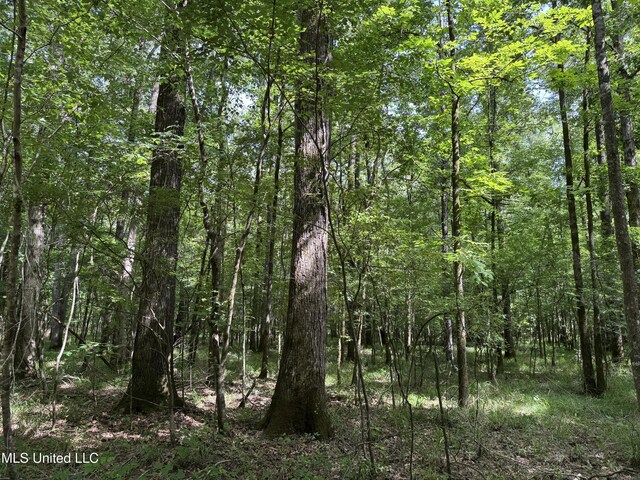 2550 Moncure Rd, Terry, MS 39170