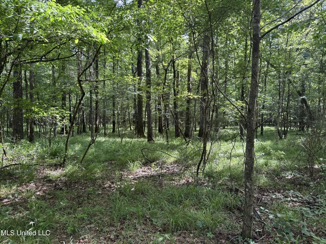2550 Moncure Rd, Terry, MS 39170