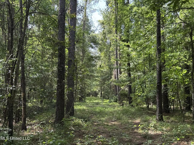 2550 Moncure Rd, Terry, MS 39170
