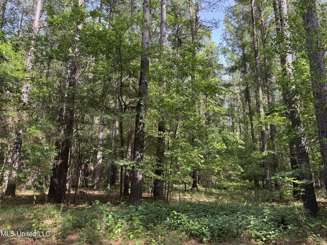 2550 Moncure Rd, Terry, MS 39170