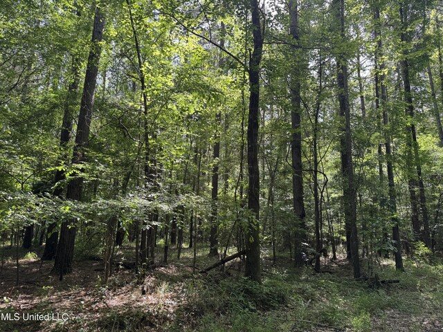2550 Moncure Rd, Terry, MS 39170