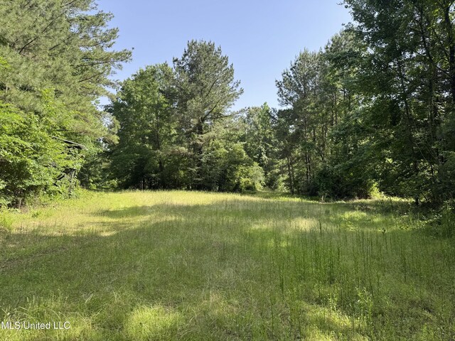 2550 Moncure Rd, Terry, MS 39170