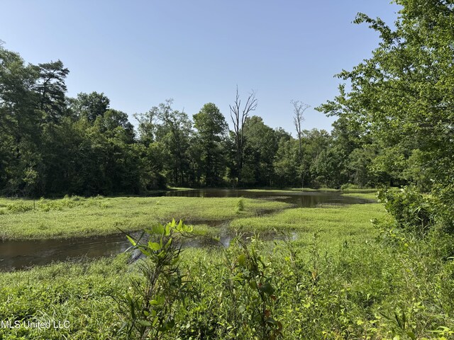 2550 Moncure Rd, Terry, MS 39170