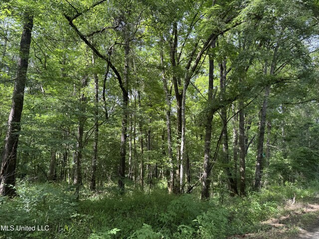 2550 Moncure Rd, Terry, MS 39170