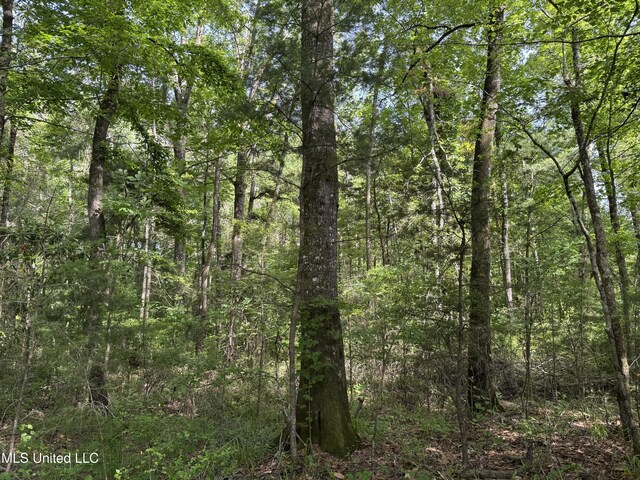 2550 Moncure Rd, Terry, MS 39170