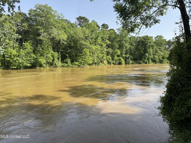 2550 Moncure Rd, Terry, MS 39170