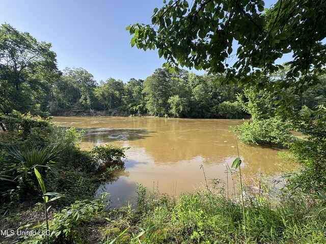 2550 Moncure Rd, Terry, MS 39170