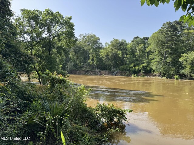 2550 Moncure Rd, Terry, MS 39170