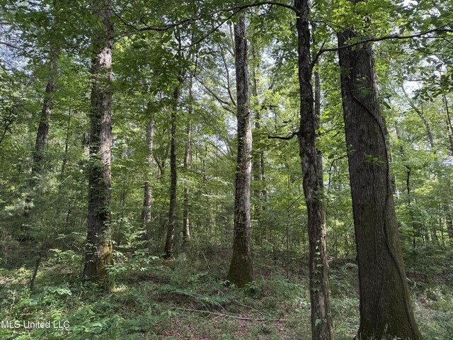 2550 Moncure Rd, Terry, MS 39170