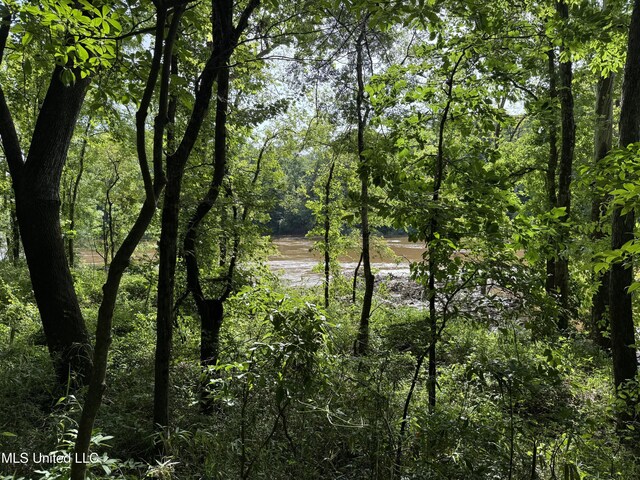 2550 Moncure Rd, Terry, MS 39170