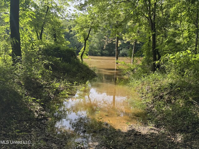 2550 Moncure Rd, Terry, MS 39170