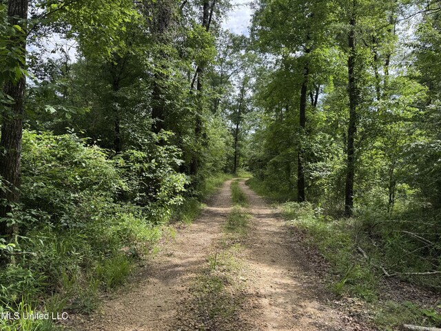 2550 Moncure Rd, Terry, MS 39170
