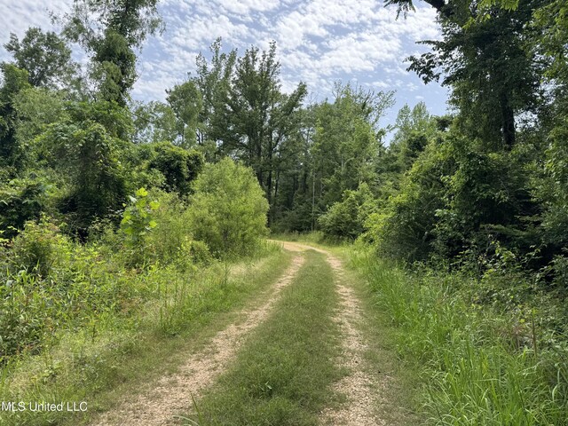 2550 Moncure Rd, Terry, MS 39170