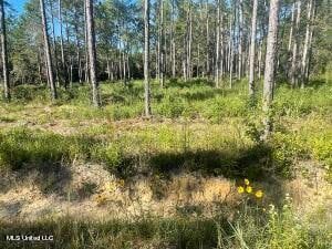 Morningside Dr, Vancleave MS, 39565 land for sale