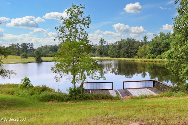 dock area featuring a water view