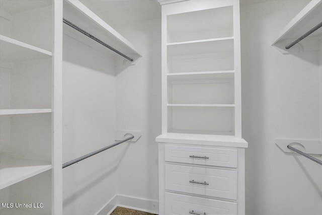 view of walk in closet