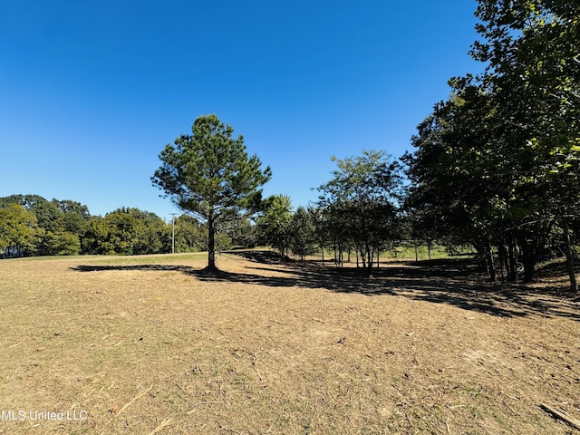 Listing photo 3 for 9805 Fox Gate Dr, Hernando MS 38632