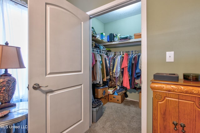 spacious closet featuring light carpet