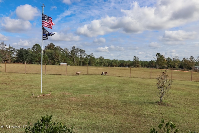 view of yard featuring a rural view