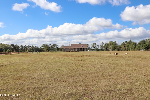 view of yard with a rural view