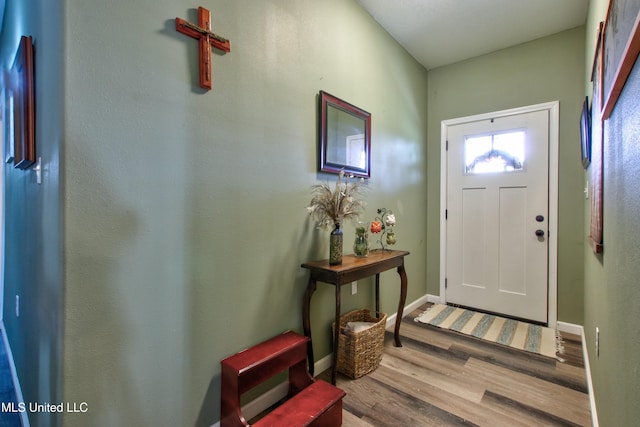 entryway featuring hardwood / wood-style floors