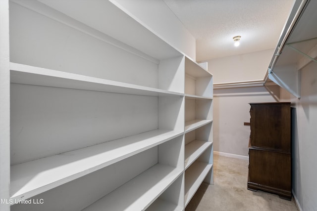 spacious closet featuring carpet