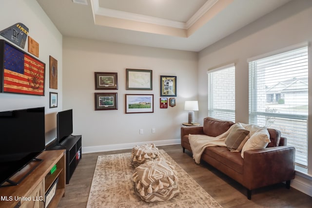 living room featuring dark hardwood / wood-style flooring, a tray ceiling, and ornamental molding