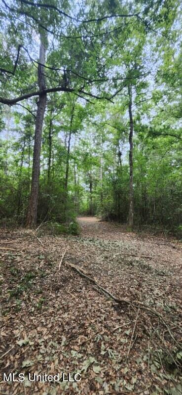 0 Peapatch Rd, Biloxi, MS 39532