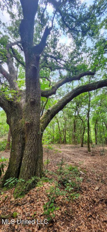 0 Peapatch Rd, Biloxi, MS 39532