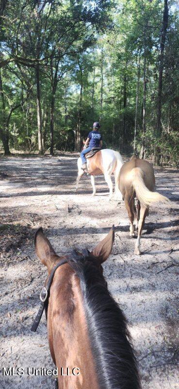 0 Peapatch Rd, Biloxi, MS 39532
