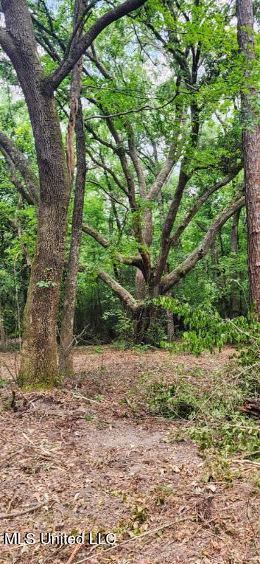 0 Peapatch Rd, Biloxi, MS 39532