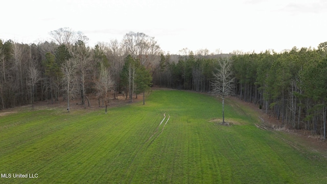 view of yard with a rural view