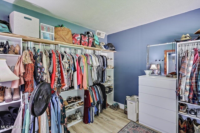 12661 Springridge Rd, Terry, MS 39170 - spacious closet with wood finished floors
