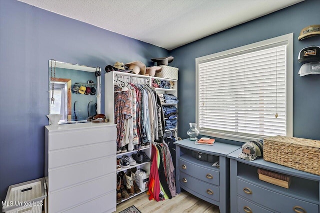 12661 Springridge Rd, Terry, MS 39170 - spacious closet with light wood-style floors