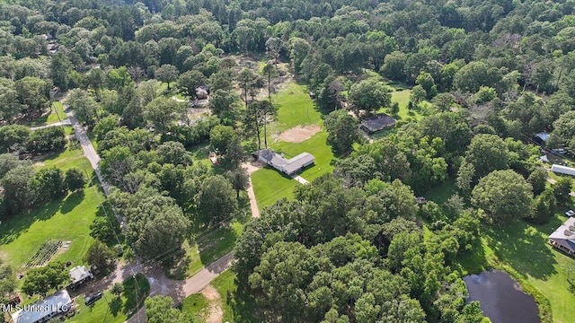 12661 Springridge Rd, Terry, MS 39170 - aerial overview of property's location featuring a nearby body of water