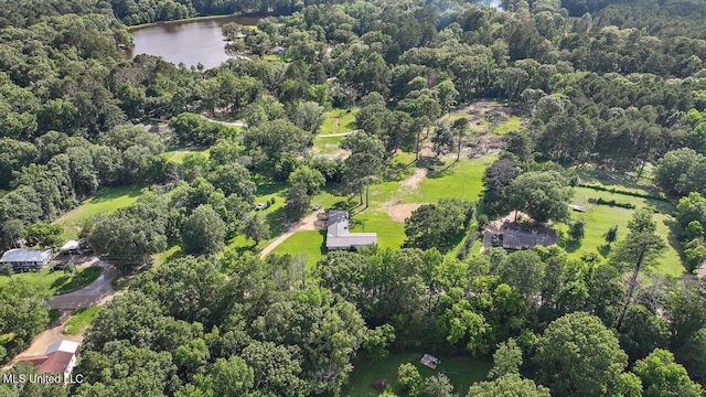 12661 Springridge Rd, Terry, MS 39170 - aerial overview of property's location with a forest and a nearby body of water