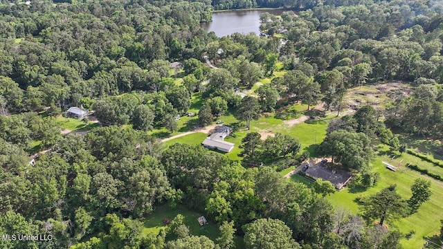 12661 Springridge Rd, Terry, MS 39170 - aerial overview of property's location with a large body of water and a heavily wooded area