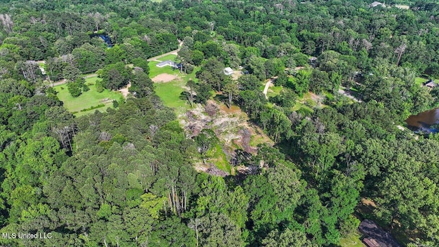 12661 Springridge Rd, Terry, MS 39170 - aerial view of property's location featuring a heavily wooded area