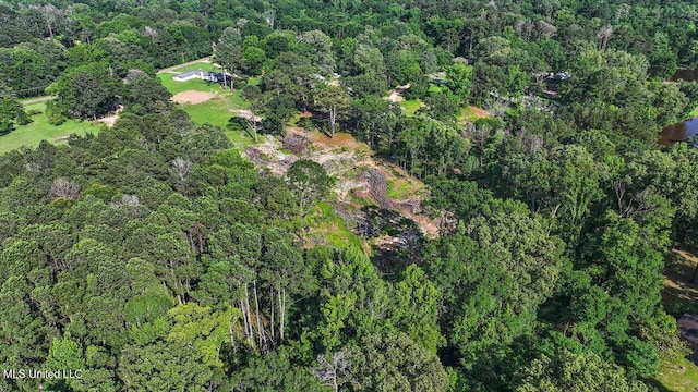 12661 Springridge Rd, Terry, MS 39170 - aerial view of property's location with a forest